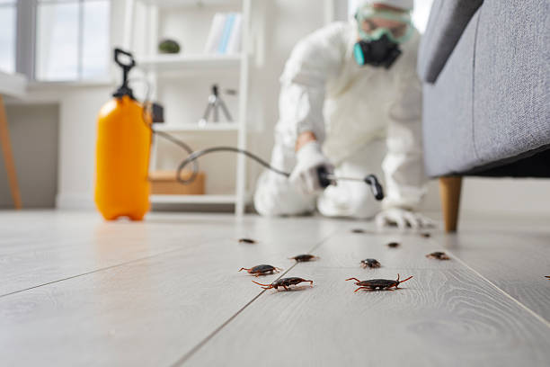 Commercial Kitchen Cockroach Control in Goldsby